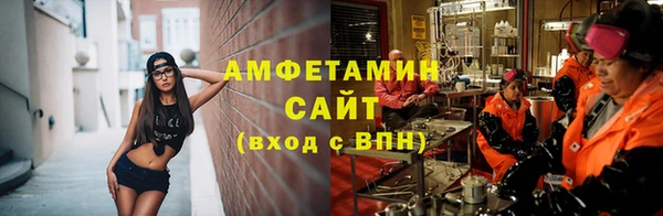 гидра Володарск