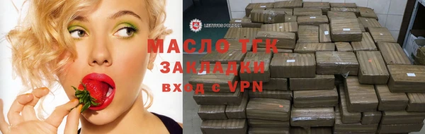 индика Волосово