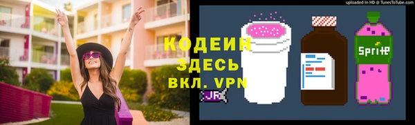 индика Волосово