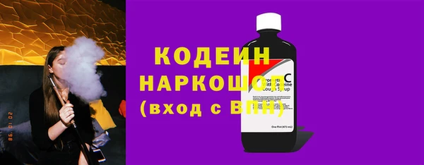 индика Волосово
