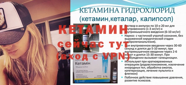индика Волосово