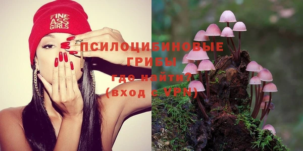 гидра Володарск