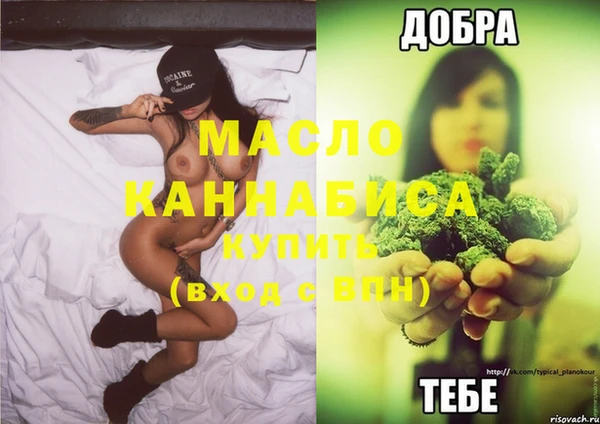 индика Волосово