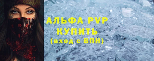 индика Волосово