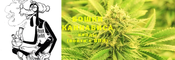 гидра Володарск