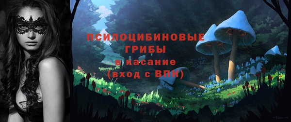 индика Волосово