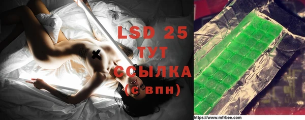 индика Волосово